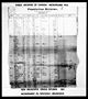 Census NB 1851 - New Brunswick, Carleton County, Brighton (Hallett, Marsden)